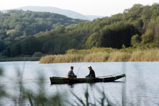 rencontre avec mon jardinier